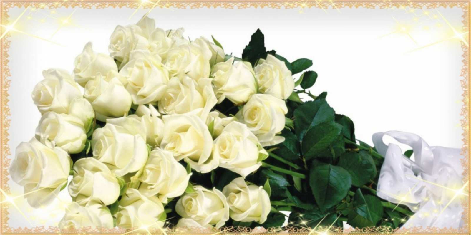 Открытка много кремовых роз на открытке букет с розами желтокремового цвета для любимой на праздник весны наурыз С наурызом 
