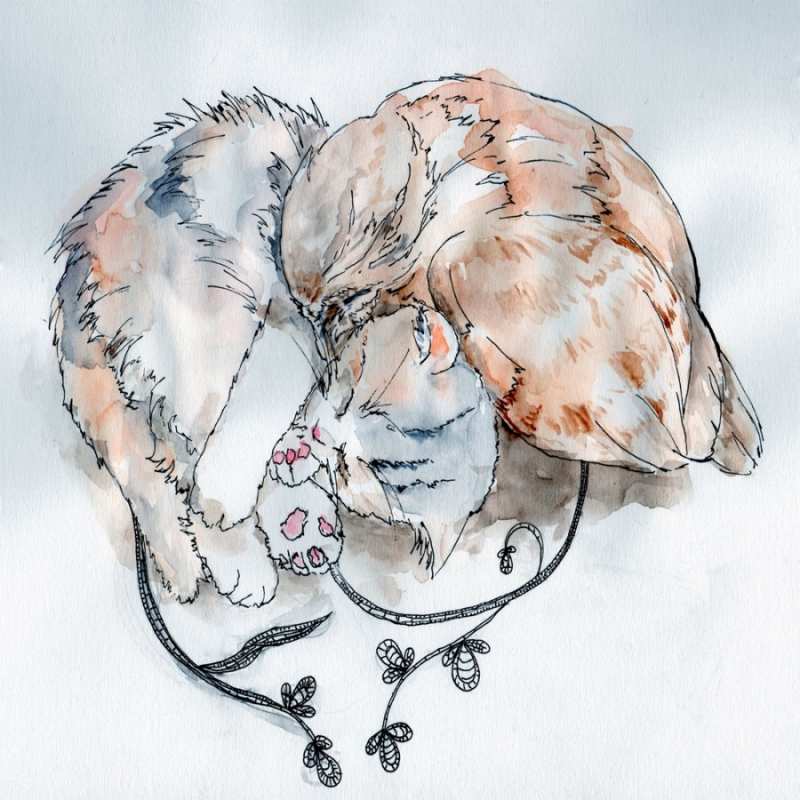 Открытка кот и голубь греются  можно быть вместе даже когда очень разные  Хочу обнять тебя 