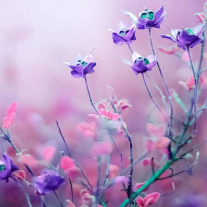 Открытка полевые цветы 2 международный женский день 2 С наурызом 