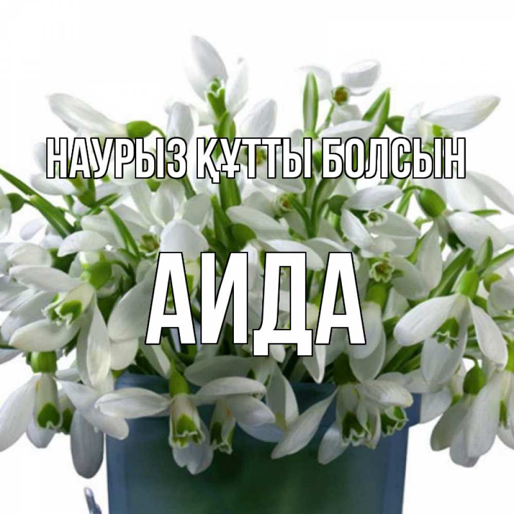Открытка на каждый день с именем, Аида Наурыз құтты болсын цветы к наурызу Прикольная открытка с пожеланием онлайн скачать бесплатно 