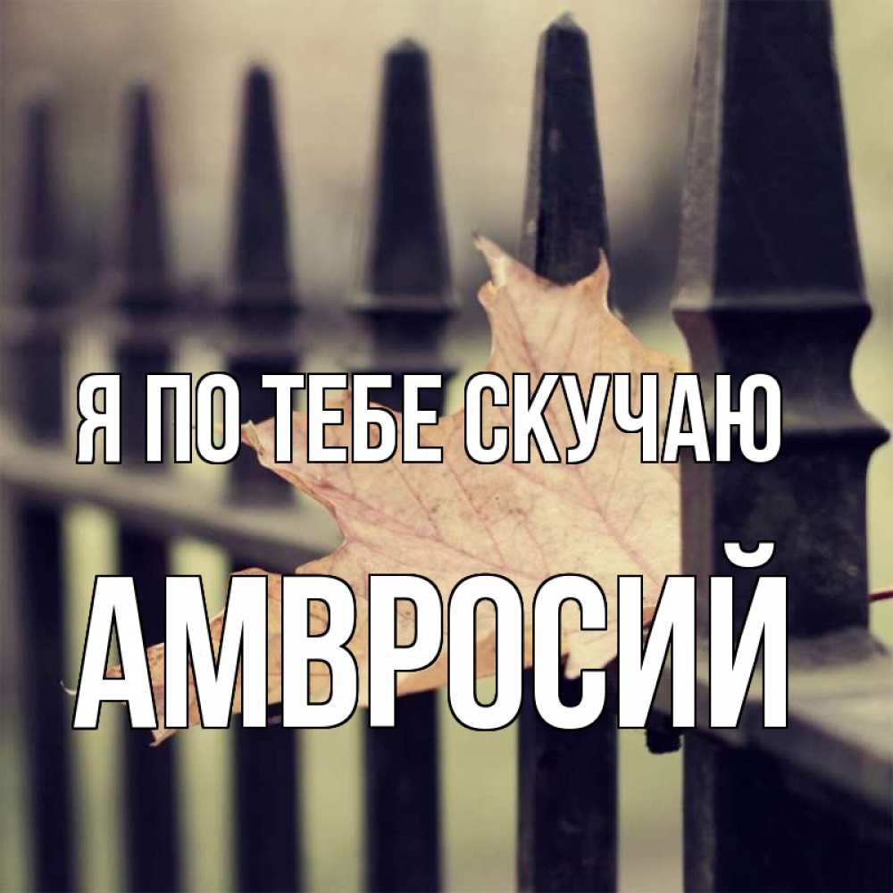 Открытка на каждый день с именем, Амвросий Я по тебе скучаю очень скучно Прикольная открытка с пожеланием онлайн скачать бесплатно 