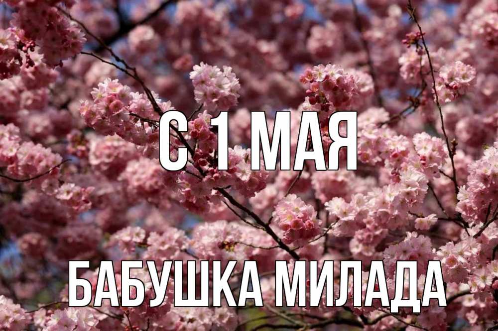 Открытка на каждый день с именем, Бабушка-Милада С 1 мая С 1 мая Прикольная открытка с пожеланием онлайн скачать бесплатно 
