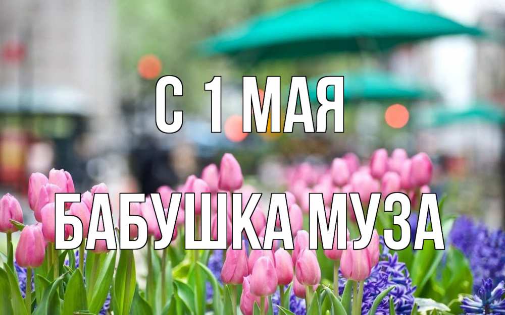 Открытка на каждый день с именем, Бабушка-Муза С 1 мая С 1 мая Прикольная открытка с пожеланием онлайн скачать бесплатно 