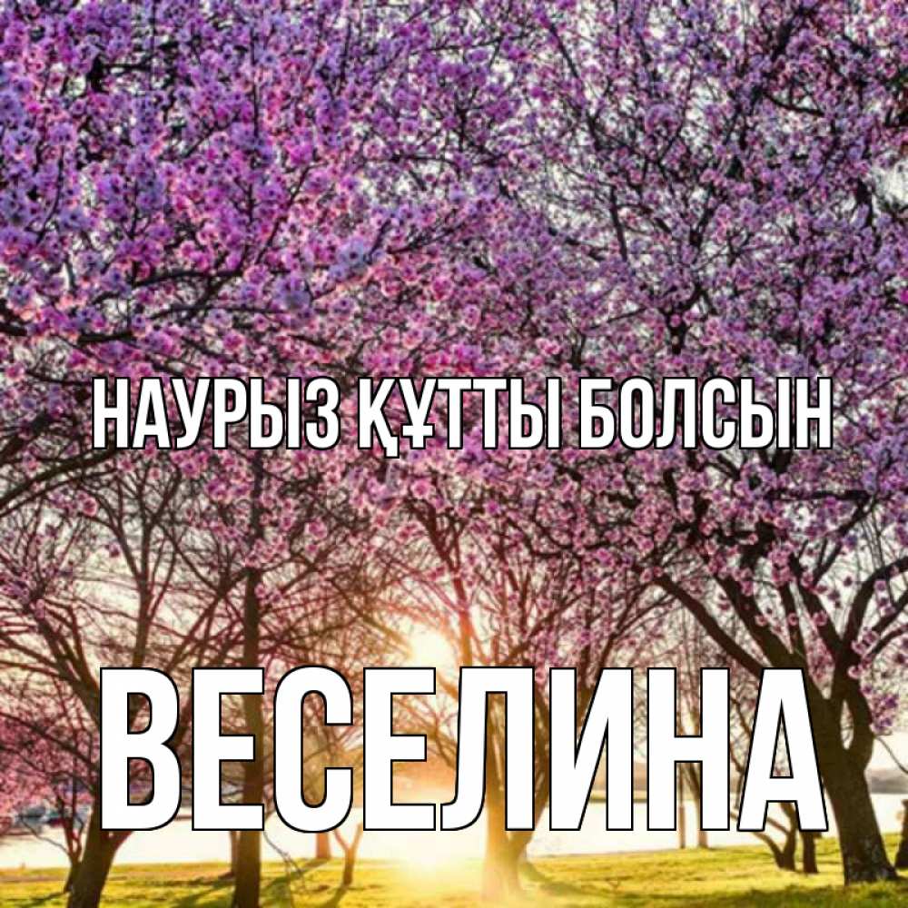 Открытка на каждый день с именем, Веселина Наурыз құтты болсын наурыз Прикольная открытка с пожеланием онлайн скачать бесплатно 