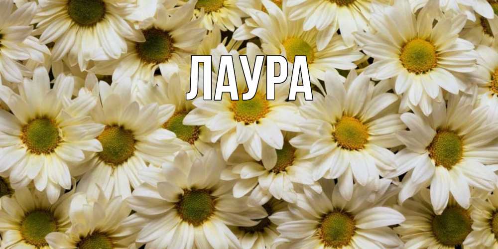 Открытка на каждый день с именем, Лаура Главная крупные ромашки Прикольная открытка с пожеланием онлайн скачать бесплатно 