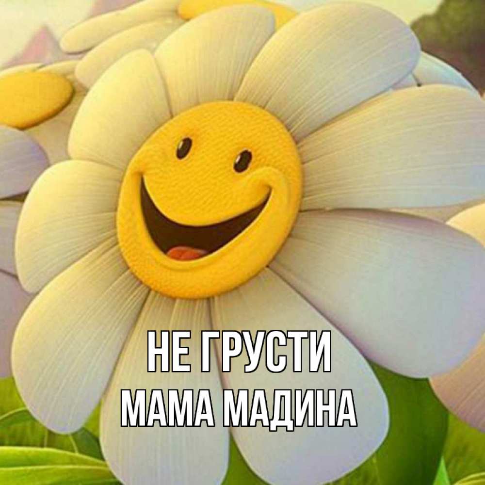 Открытка на каждый день с именем, Мама-Мадина Не грусти огромная улыбающаяся ромашуща Прикольная открытка с пожеланием онлайн скачать бесплатно 