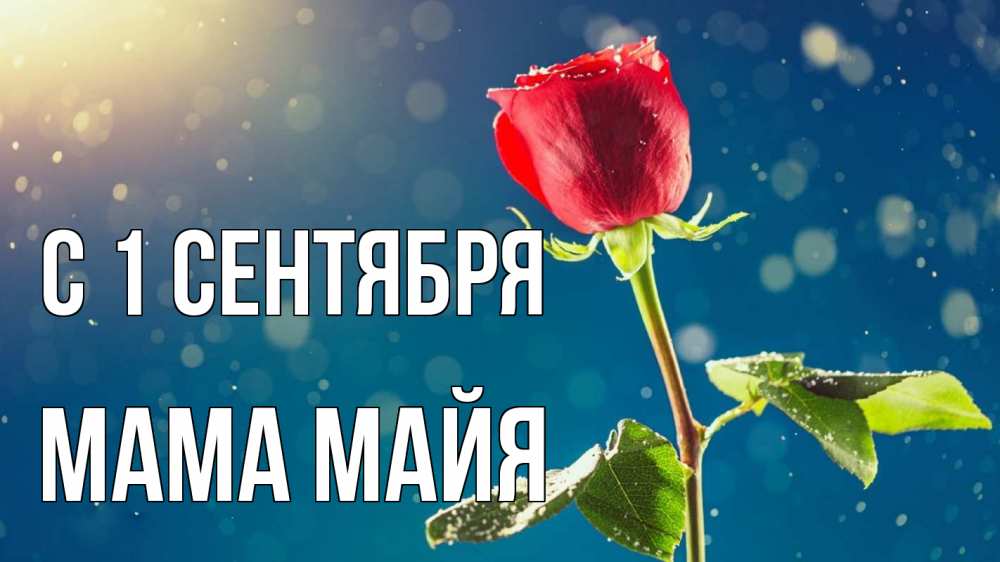 Открытка на каждый день с именем, Мама-Майя С 1 сентября с днем знаний Прикольная открытка с пожеланием онлайн скачать бесплатно 