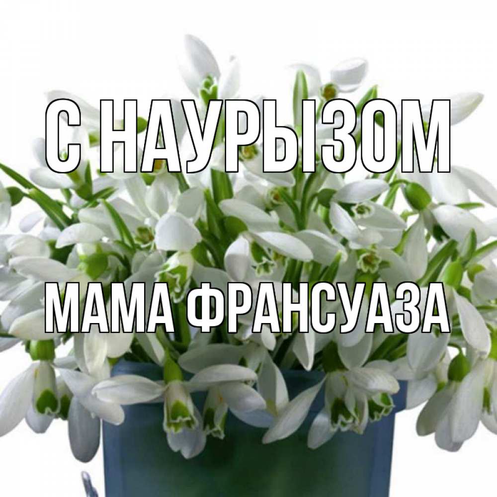 Открытка на каждый день с именем, Мама-Франсуаза С наурызом цветы к наурызу новый год в Казахстане Прикольная открытка с пожеланием онлайн скачать бесплатно 