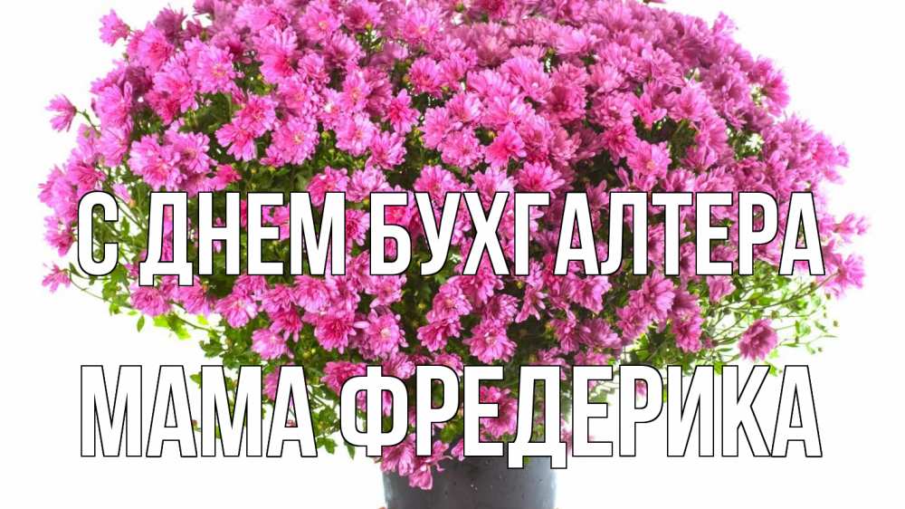 Открытка на каждый день с именем, Мама-Фредерика С днем бухгалтера с днем бухгалтера Прикольная открытка с пожеланием онлайн скачать бесплатно 