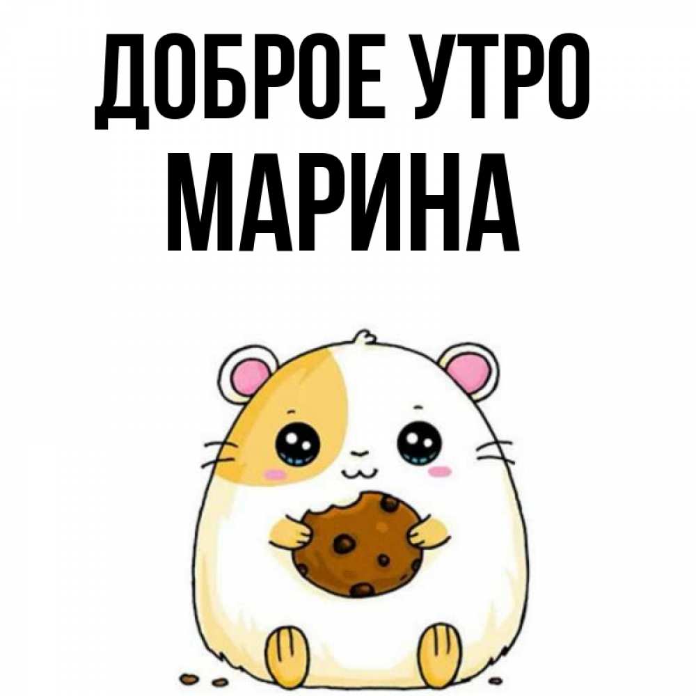 Открытка на каждый день с именем, Марина Доброе утро есть печеньку. Утречко Прикольная открытка с пожеланием онлайн скачать бесплатно 