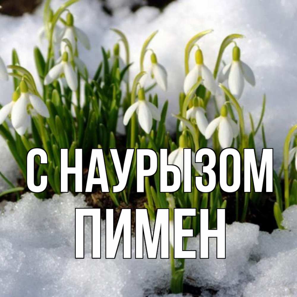 Открытка на каждый день с именем, Пимен С наурызом цветы весенние Прикольная открытка с пожеланием онлайн скачать бесплатно 