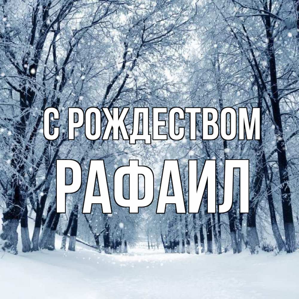 Открытка на каждый день с именем, Рафаил С рождеством снег, лес, парк Прикольная открытка с пожеланием онлайн скачать бесплатно 