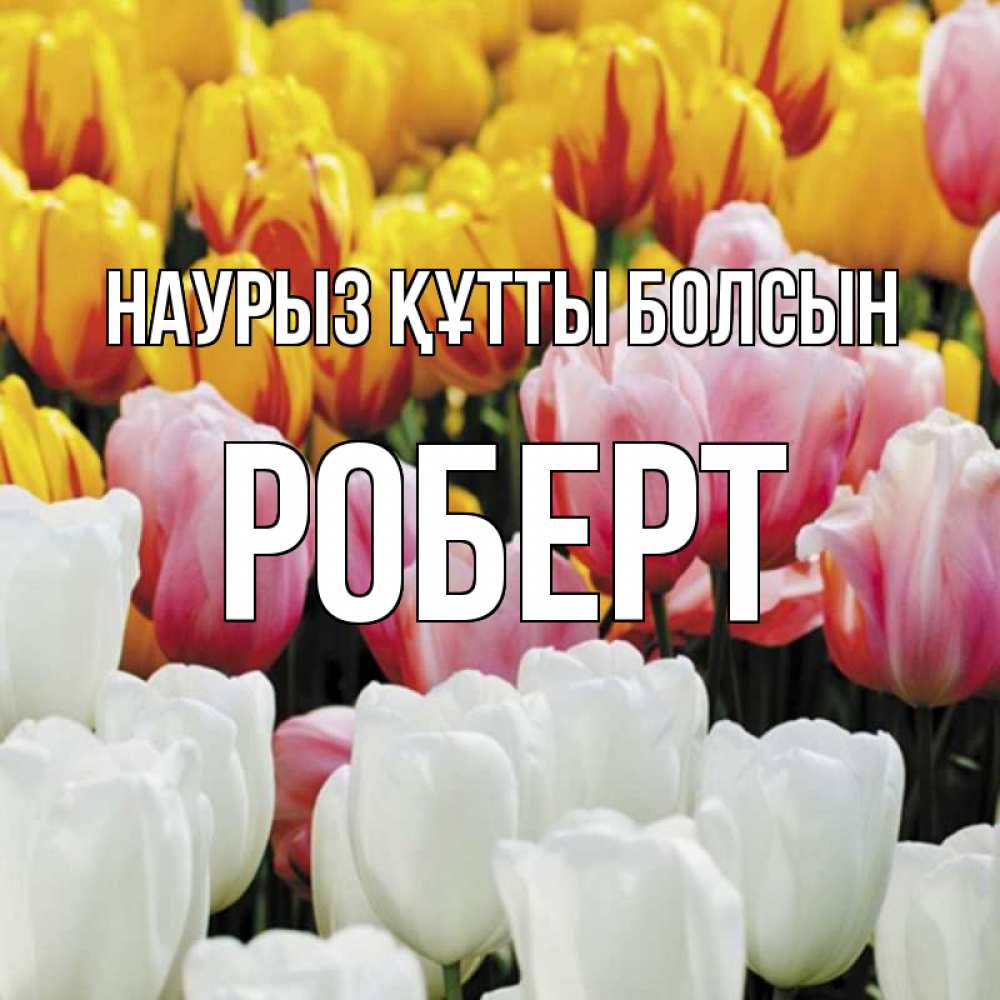 Открытка на каждый день с именем, Роберт Наурыз құтты болсын разноцветные цветы Прикольная открытка с пожеланием онлайн скачать бесплатно 