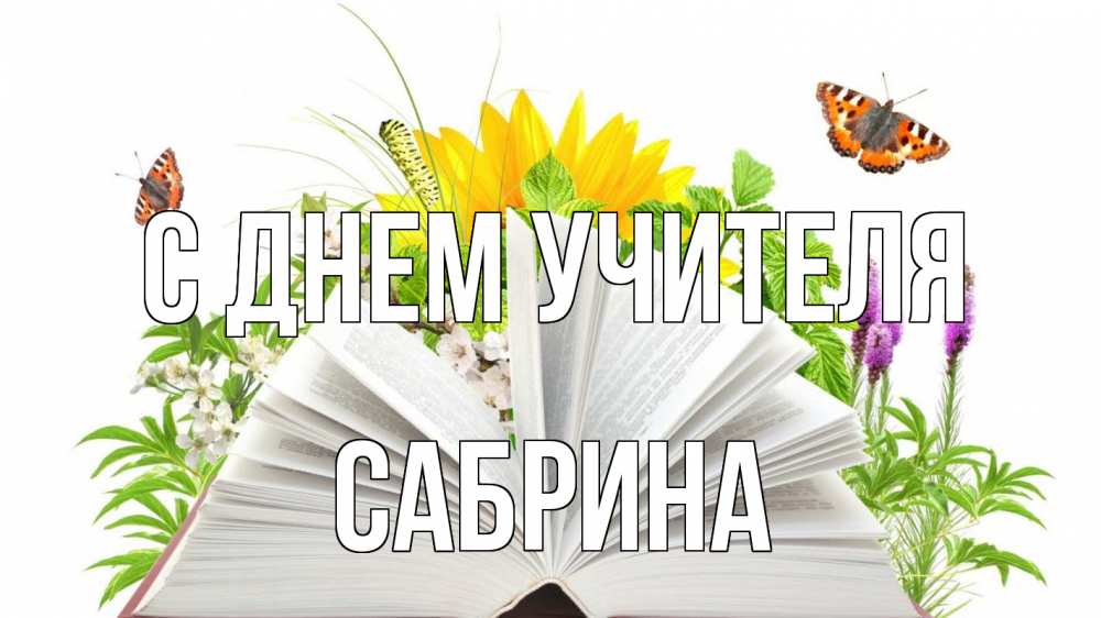 Открытка на каждый день с именем, Сабрина С днем учителя с днем учителя Прикольная открытка с пожеланием онлайн скачать бесплатно 