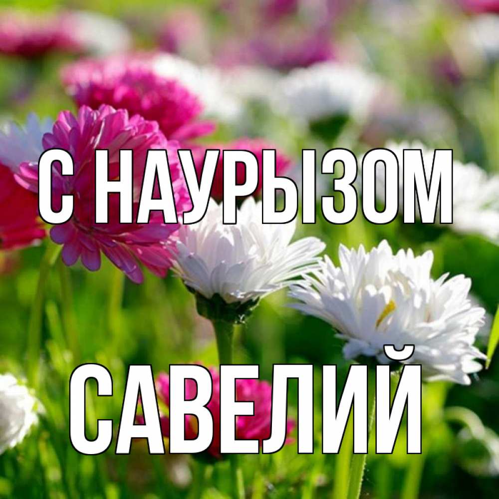 Открытка на каждый день с именем, Савелий С наурызом праздник весны наурыз красота Прикольная открытка с пожеланием онлайн скачать бесплатно 