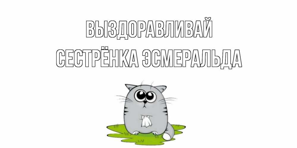 Открытка на каждый день с именем, Сестрёнка-Эсмеральда Выздоравливай кот и открытки про выздоровление Прикольная открытка с пожеланием онлайн скачать бесплатно 