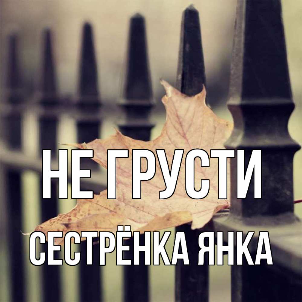 Открытка на каждый день с именем, Сестрёнка-Янка Не грусти лист клена Прикольная открытка с пожеланием онлайн скачать бесплатно 