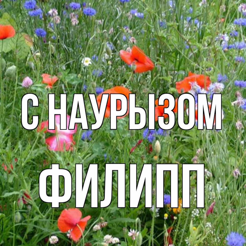 Открытка на каждый день с именем, Филипп С наурызом праздник весны наурыз супер открытка Прикольная открытка с пожеланием онлайн скачать бесплатно 