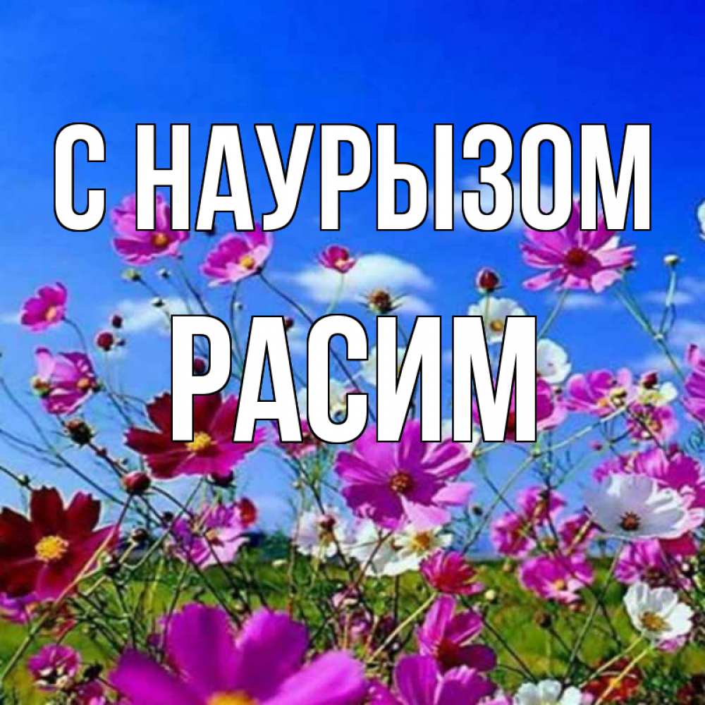 Открытка на каждый день с именем, Расим С наурызом цветы Прикольная открытка с пожеланием онлайн скачать бесплатно 