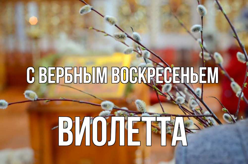 Открытка на каждый день с именем, Виолетта С вербным воскресеньем верба Прикольная открытка с пожеланием онлайн скачать бесплатно 