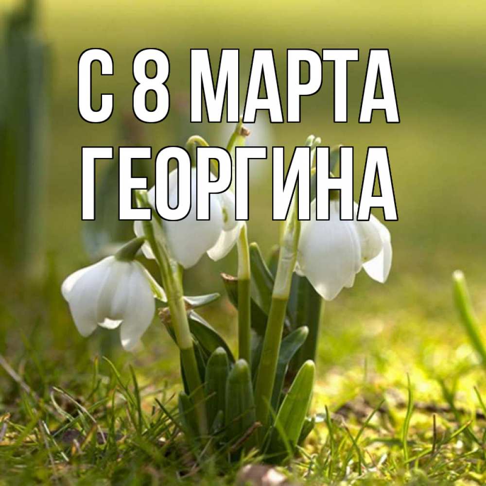 Открытка на каждый день с именем, Георгина С 8 МАРТА ранние цветы 2 Прикольная открытка с пожеланием онлайн скачать бесплатно 