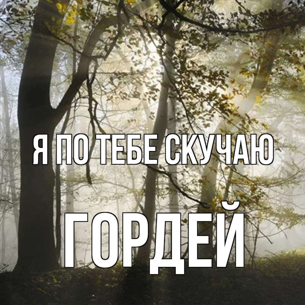 Открытка на каждый день с именем, Гордей Я по тебе скучаю грустно Прикольная открытка с пожеланием онлайн скачать бесплатно 