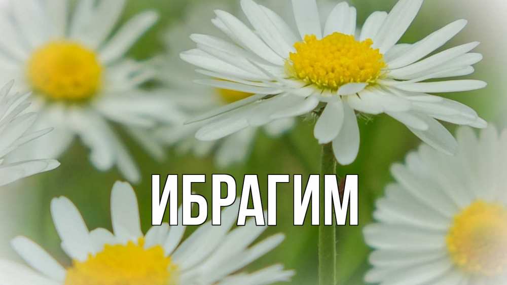 Открытка на каждый день с именем, Ибрагим Главная с днем семьи  1 Прикольная открытка с пожеланием онлайн скачать бесплатно 