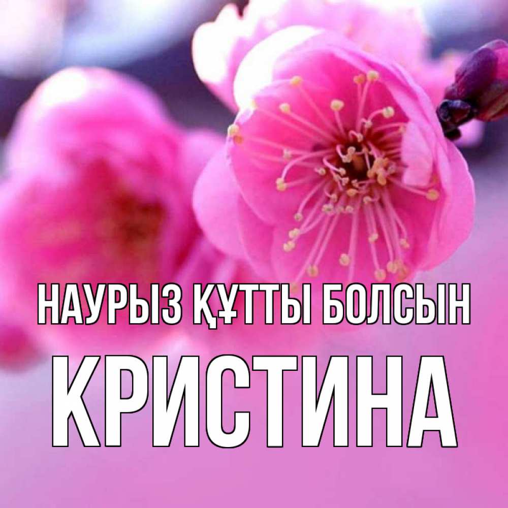 Открытка на каждый день с именем, Кристина Наурыз құтты болсын наурыз мейрам Прикольная открытка с пожеланием онлайн скачать бесплатно 