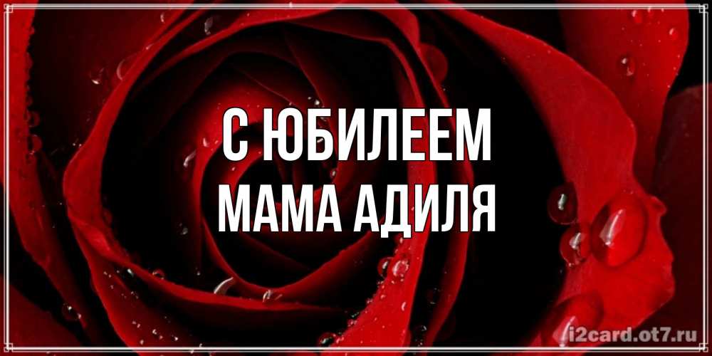 Открытка на каждый день с именем, Мама-Адиля С юбилеем крупная бордовая роза Прикольная открытка с пожеланием онлайн скачать бесплатно 