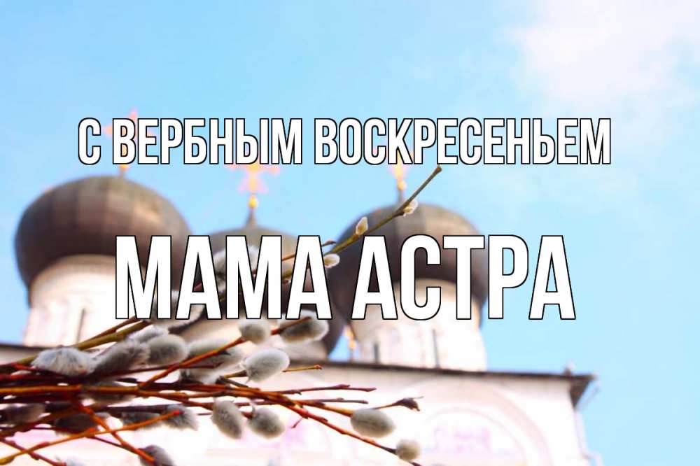 Открытка на каждый день с именем, Мама-Астра С вербным воскресеньем верба Прикольная открытка с пожеланием онлайн скачать бесплатно 