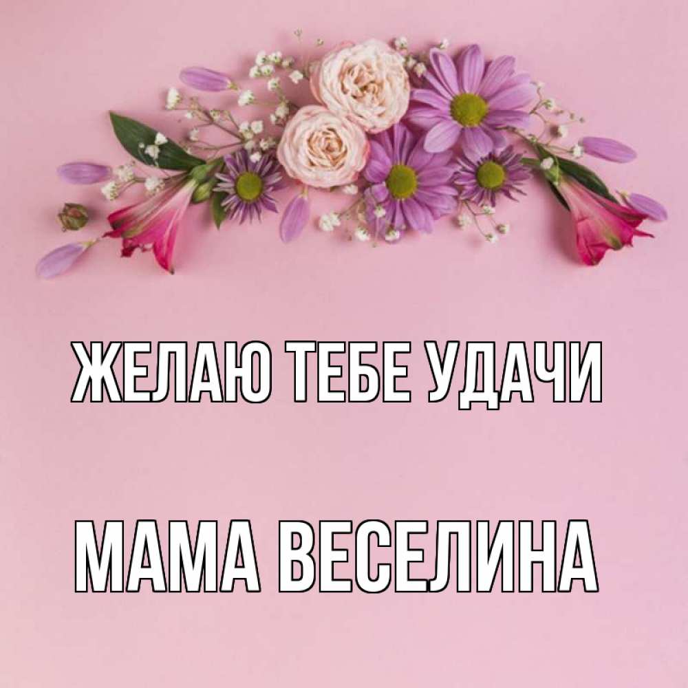 Открытка на каждый день с именем, Мама-Веселина Желаю тебе удачи розовый фон Прикольная открытка с пожеланием онлайн скачать бесплатно 