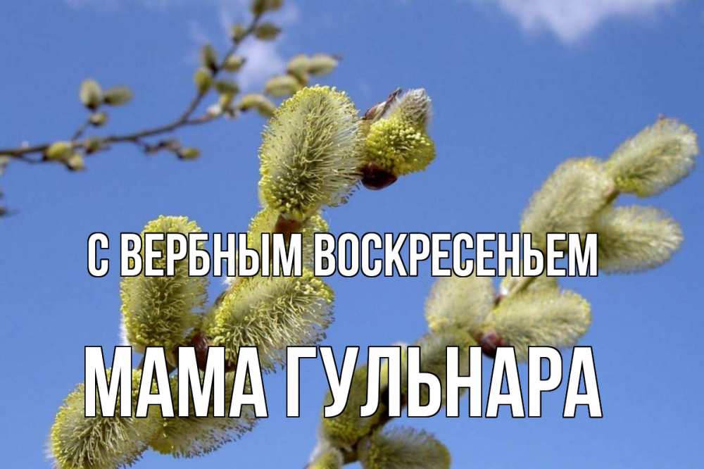Открытка на каждый день с именем, Мама-Гульнара С вербным воскресеньем верба Прикольная открытка с пожеланием онлайн скачать бесплатно 
