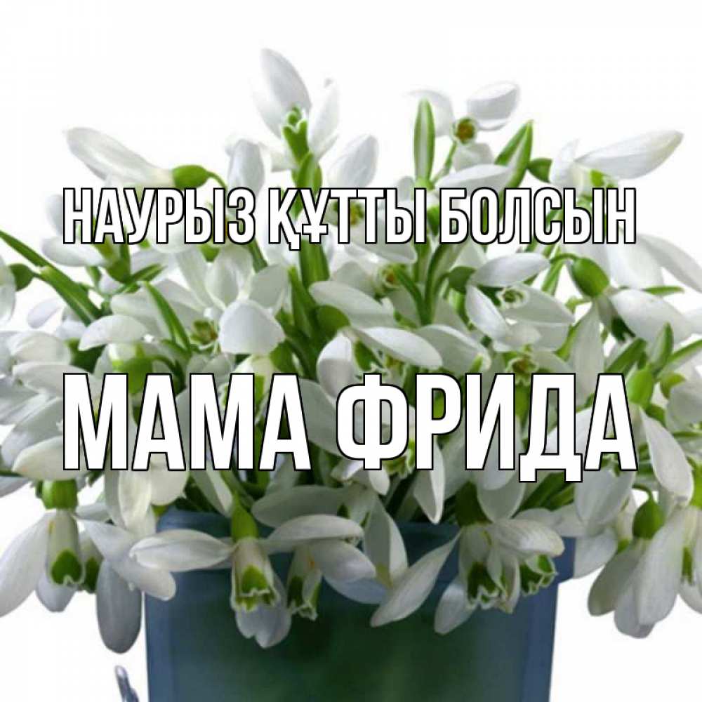 Открытка на каждый день с именем, Мама-Фрида Наурыз құтты болсын цветы к наурызу Прикольная открытка с пожеланием онлайн скачать бесплатно 