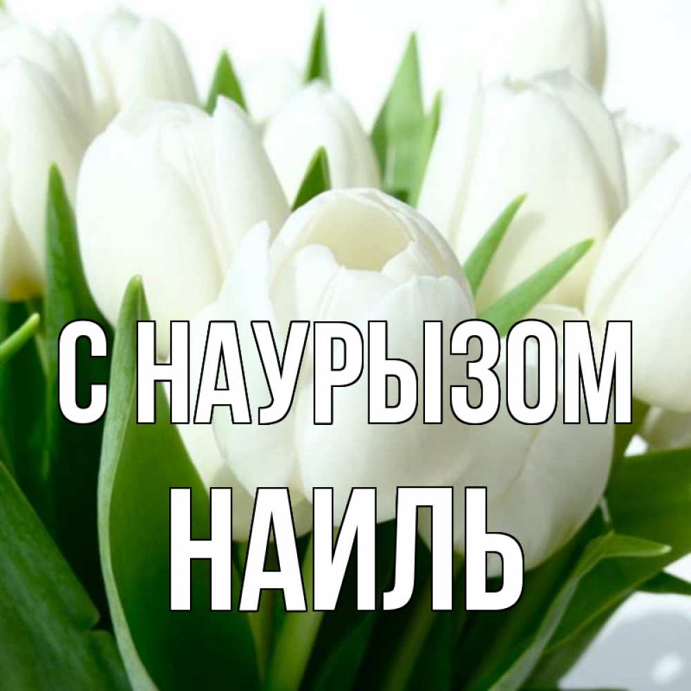 Открытка на каждый день с именем, Наиль С наурызом цветы Прикольная открытка с пожеланием онлайн скачать бесплатно 