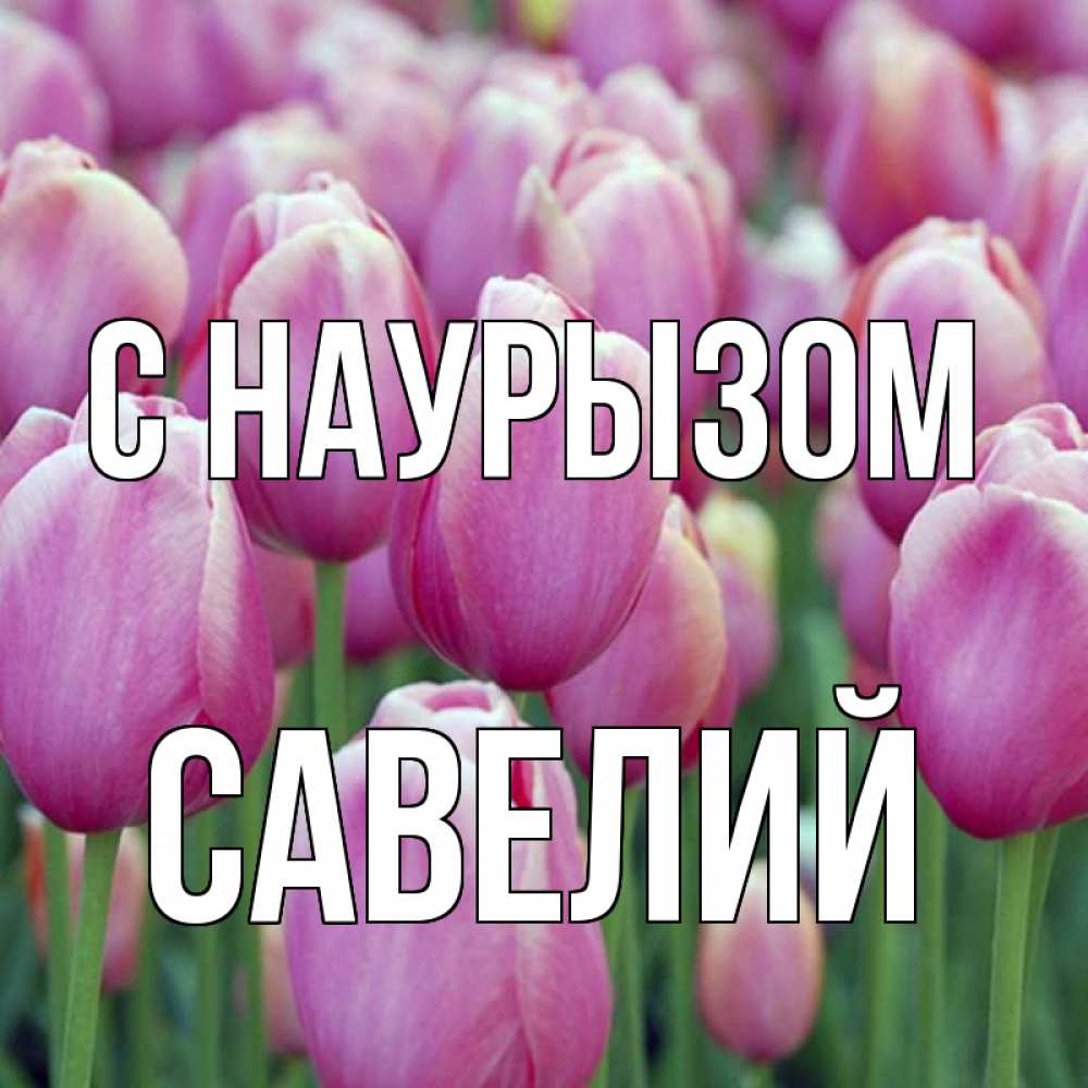 Открытка на каждый день с именем, Савелий С наурызом праздник весны наурыз 69 Прикольная открытка с пожеланием онлайн скачать бесплатно 