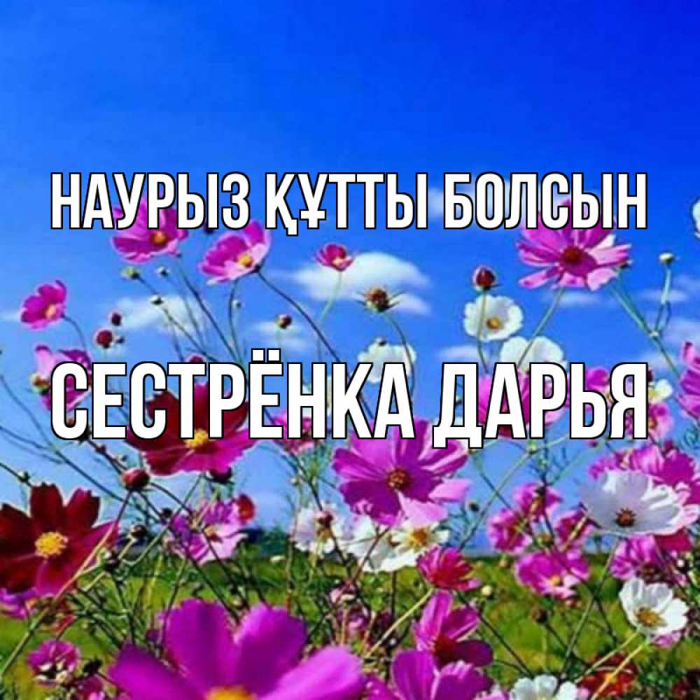 Открытка на каждый день с именем, Сестрёнка-Дарья Наурыз құтты болсын цветы Прикольная открытка с пожеланием онлайн скачать бесплатно 