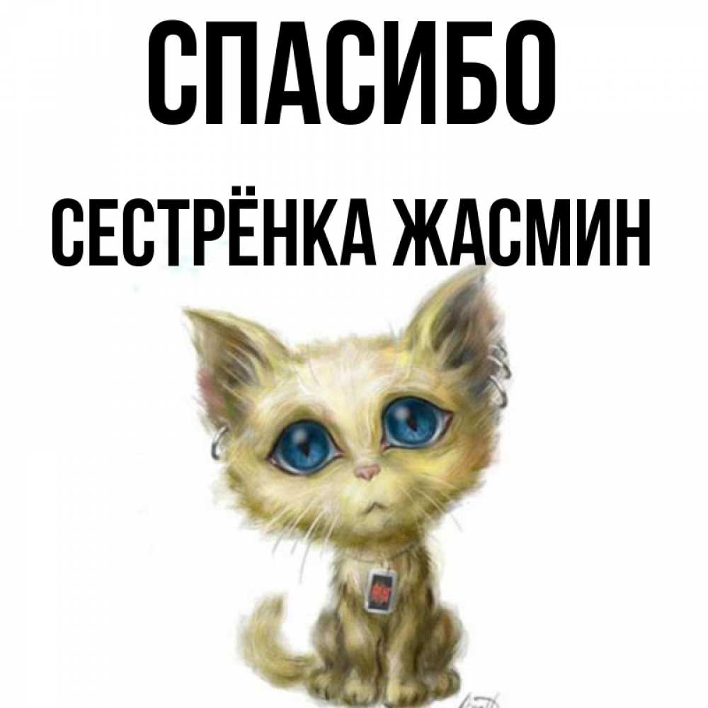 Открытка на каждый день с именем, Сестрёнка-Жасмин Спасибо рисованный кот благодарит вас Прикольная открытка с пожеланием онлайн скачать бесплатно 