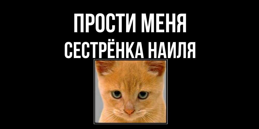 Открытка на каждый день с именем, Сестрёнка-Наиля Прости меня рыжий грустный кот просит прощения Прикольная открытка с пожеланием онлайн скачать бесплатно 