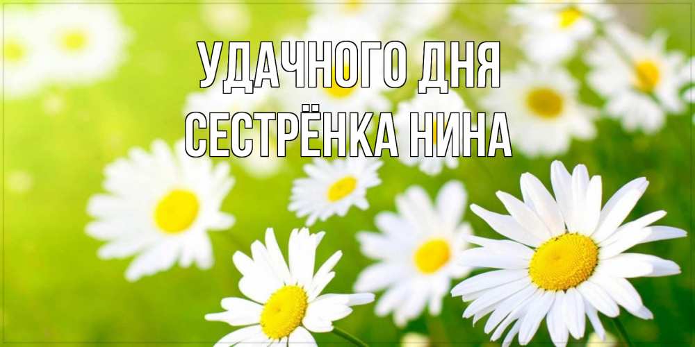 Открытка на каждый день с именем, Сестрёнка-Нина Удачного дня открытка с ромашками на зеленом фоне Прикольная открытка с пожеланием онлайн скачать бесплатно 