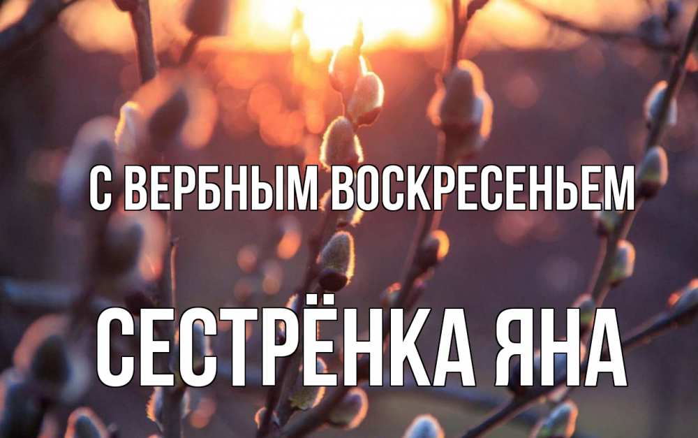 Открытка на каждый день с именем, Сестрёнка-Яна С вербным воскресеньем верба Прикольная открытка с пожеланием онлайн скачать бесплатно 