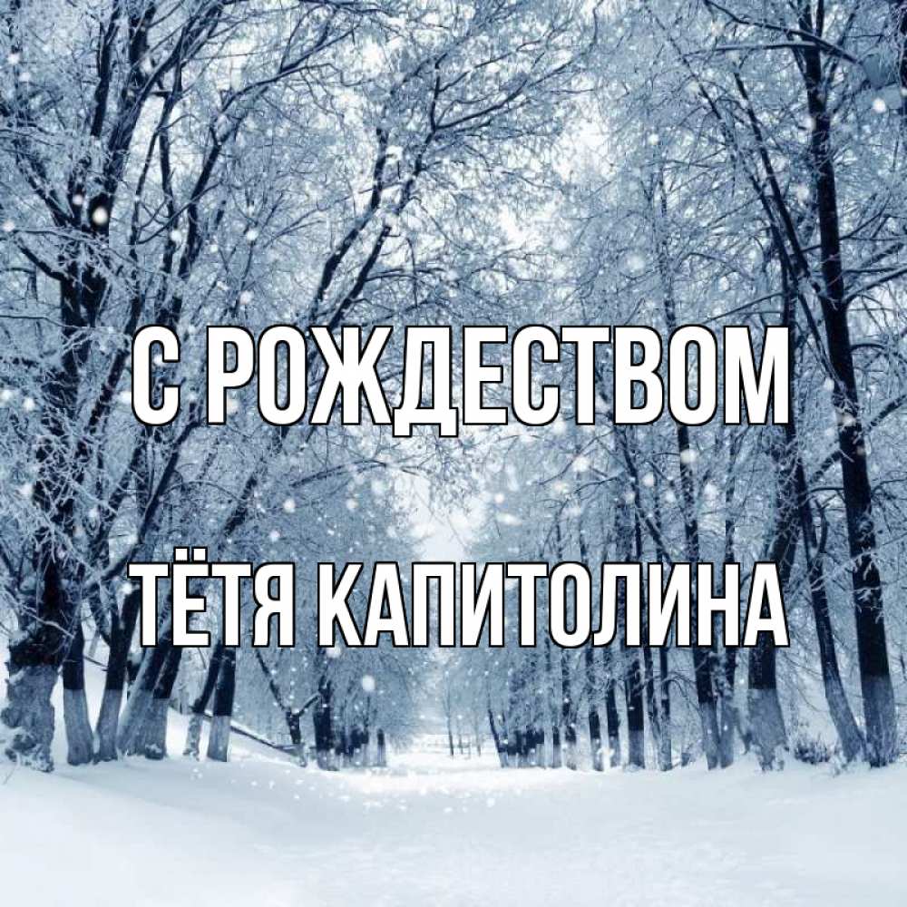 Открытка на каждый день с именем, Тётя-Капитолина С рождеством снег, лес, парк Прикольная открытка с пожеланием онлайн скачать бесплатно 