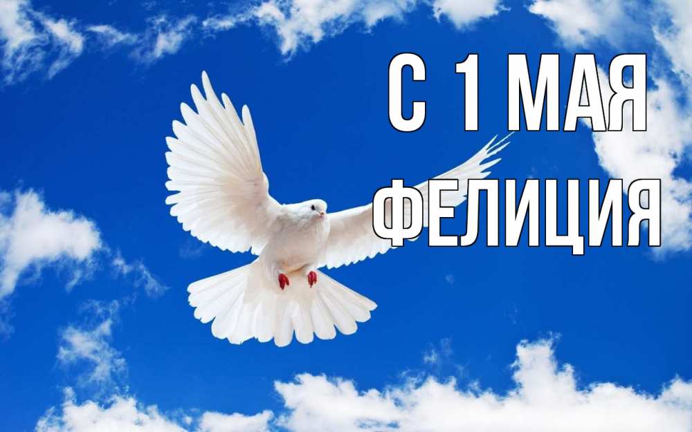 Открытка на каждый день с именем, Фелиция С 1 мая С 1 мая 1 Прикольная открытка с пожеланием онлайн скачать бесплатно 