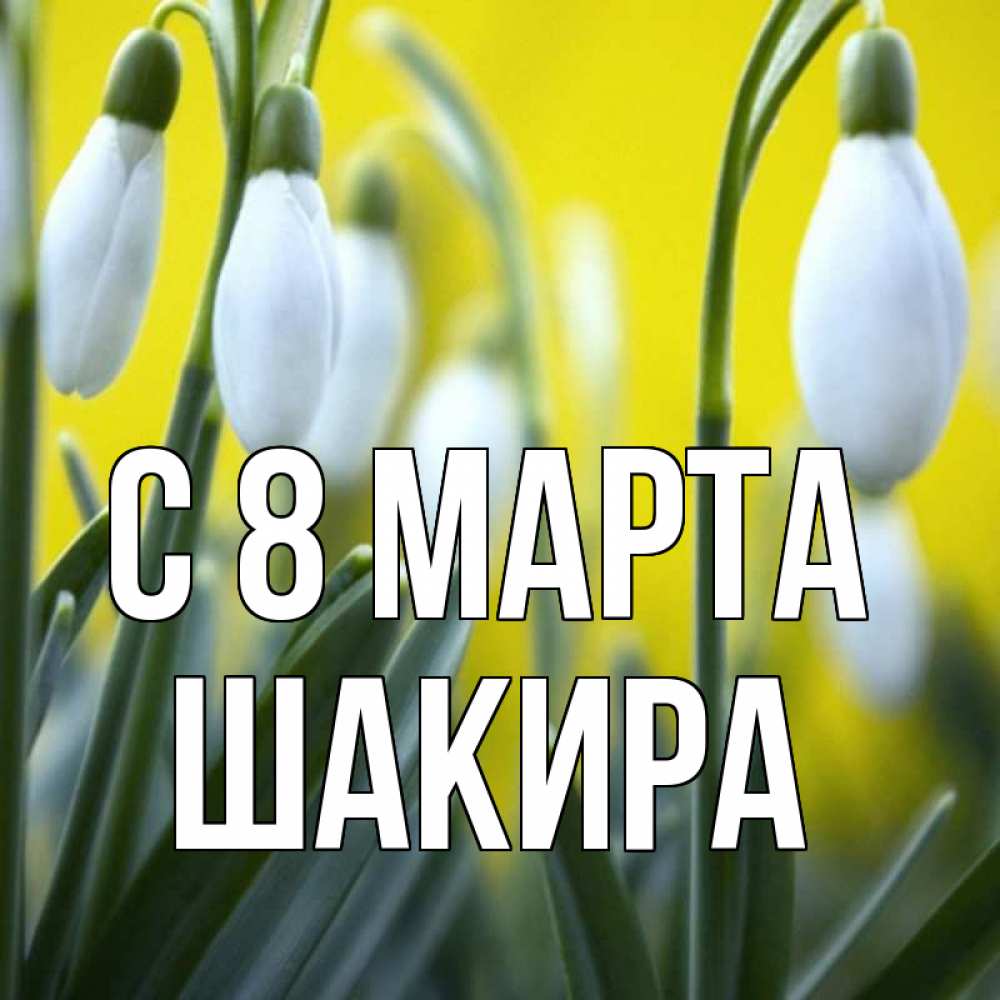 Открытка на каждый день с именем, Шакира С 8 МАРТА весенние цветы Прикольная открытка с пожеланием онлайн скачать бесплатно 