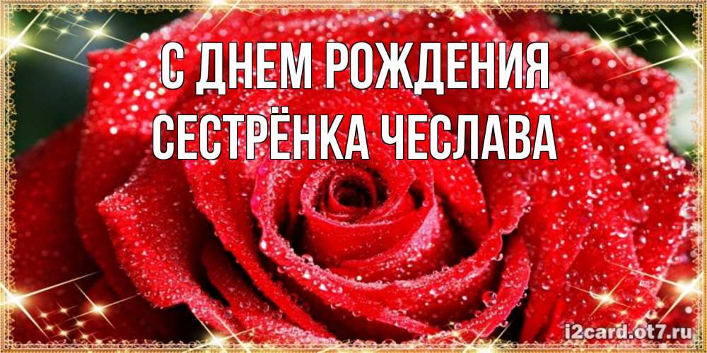 Открытка на каждый день с именем, Сестрёнка-Чеслава С днем рождения роса и роза. открытка с красивой розой Прикольная открытка с пожеланием онлайн скачать бесплатно 