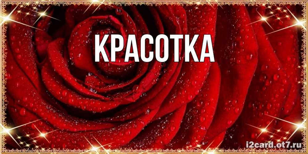 Открытка на каждый день с именем, красотка Главная роса на розе блестящая в лучах солнца Прикольная открытка с пожеланием онлайн скачать бесплатно 