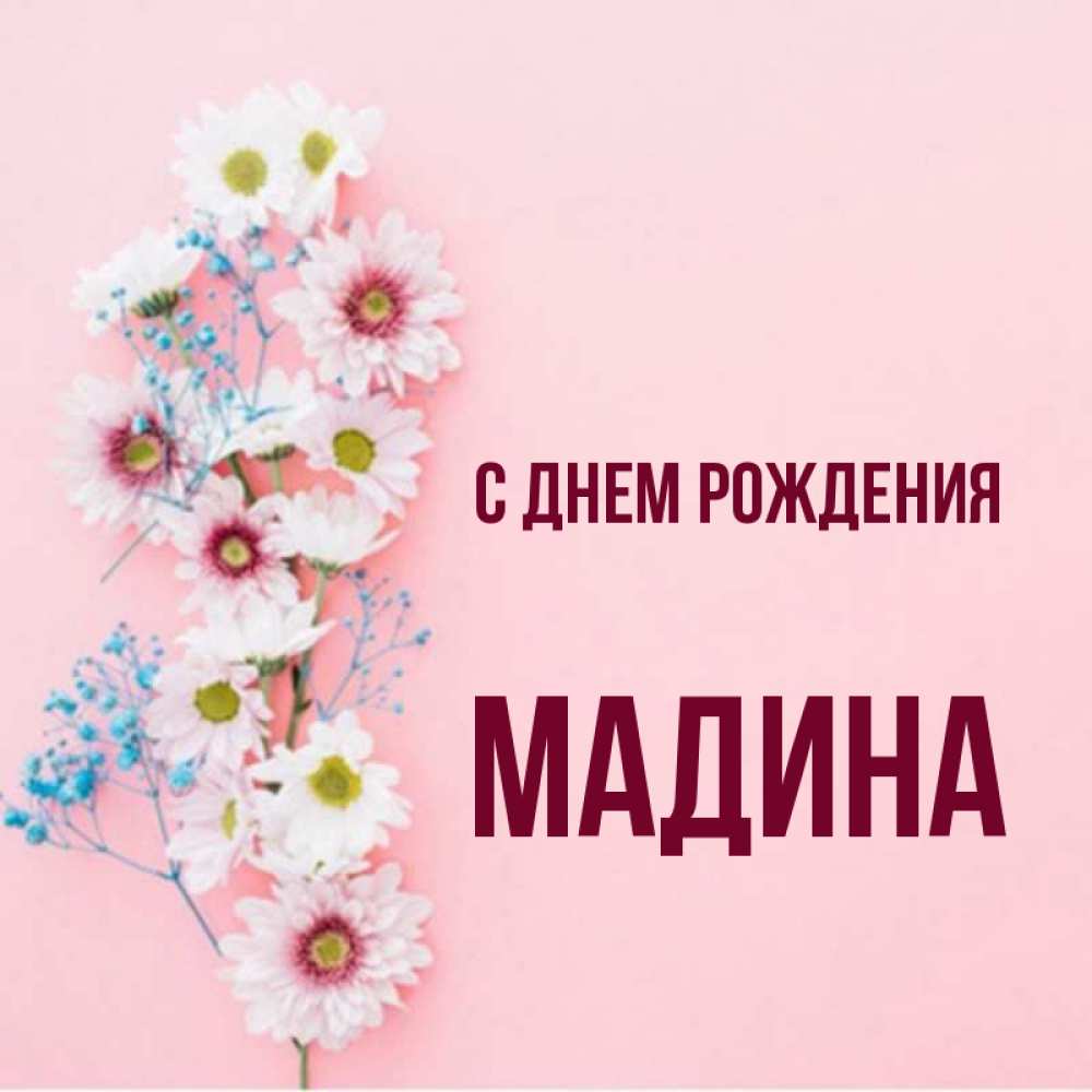 С днем рождения мадина фото