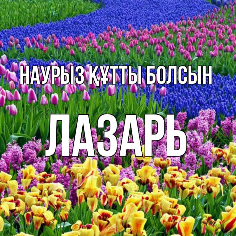 Открытка на каждый день с именем, Лазарь Наурыз құтты болсын цветы Прикольная открытка с пожеланием онлайн скачать бесплатно 