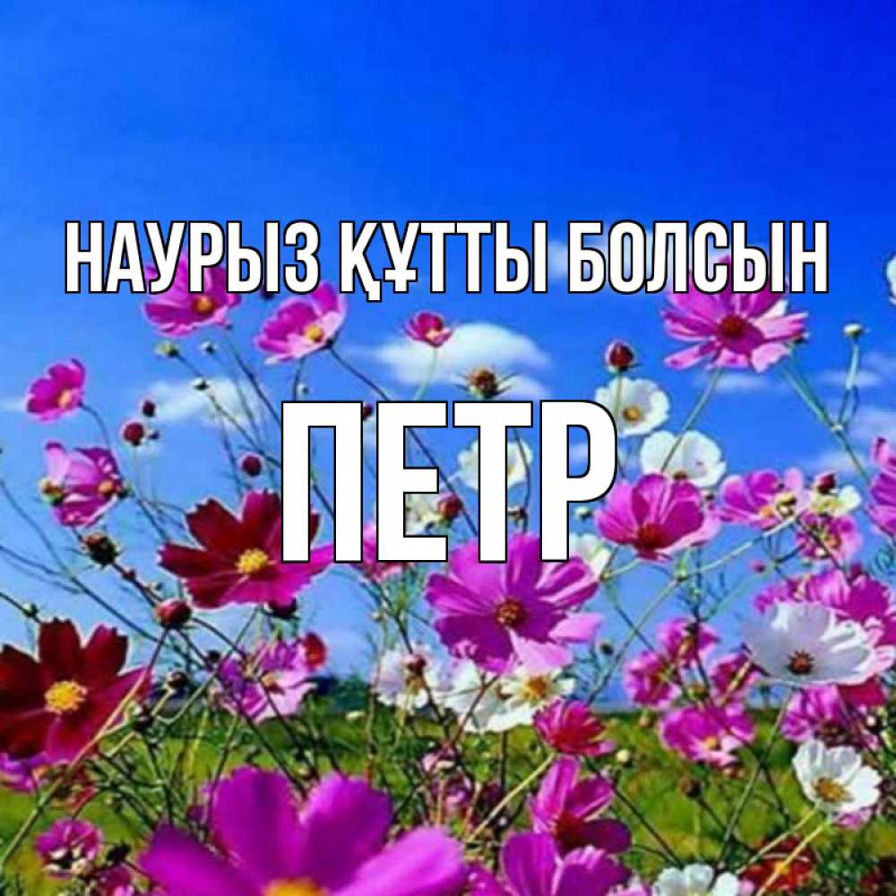 Открытка на каждый день с именем, Петр Наурыз құтты болсын цветы Прикольная открытка с пожеланием онлайн скачать бесплатно 