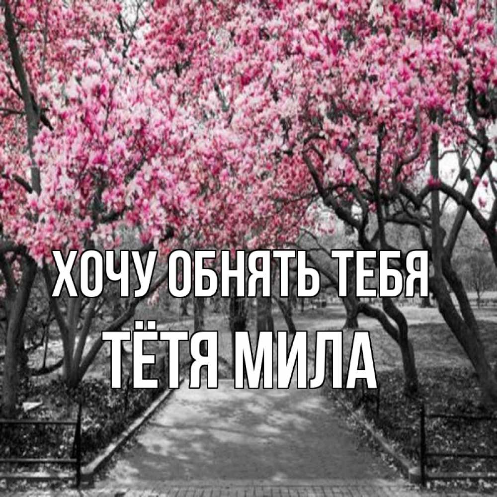 Открытка на каждый день с именем, Тётя-Мила Хочу обнять тебя обработанное фото Прикольная открытка с пожеланием онлайн скачать бесплатно 