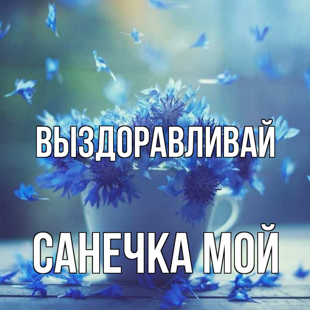 Открытка с именем, санечка мой, Выздоравливай